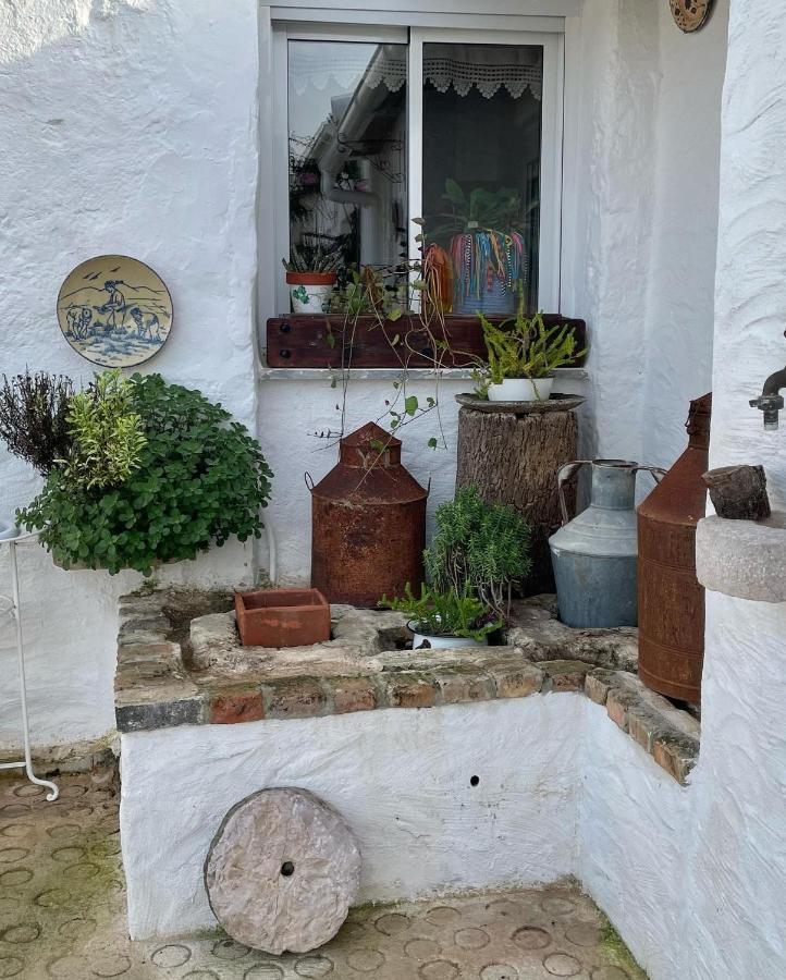 Country house Monte Carrascal *