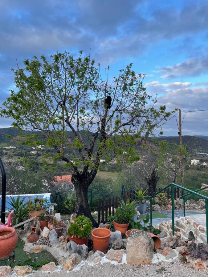 Monte Carrascal *